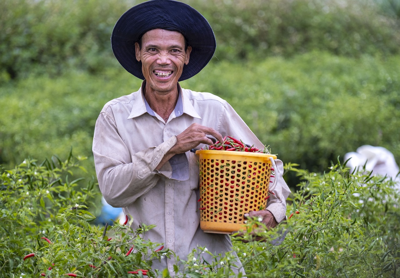 Best Eco-Farming Techniques to Maximize Crop Yield